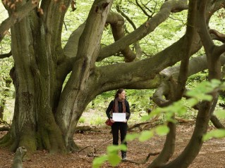 Urwaldbaum und Caro Stauch (r.) I FOTO: André Kirchner