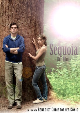 sequioa | bild: © b. könig