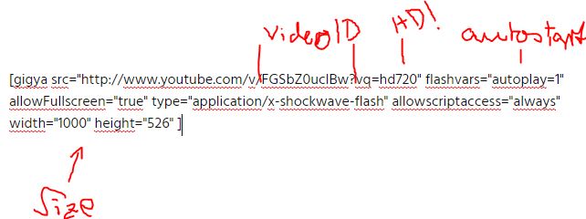 autoplay youtube wordpress gigya short code